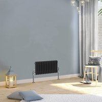 Warmehaus - Traditional Double Column Black Radiator 300x605mm