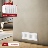 Warmehaus - Traditional Radiator Double Column White 300 x 830mm