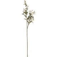 Hill Interiors - Wild Meadow Rose Artificial Flower - Fabric/Plastic - L15 x W15 x H74 cm - White