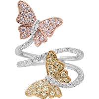 Brillant-Goldring (CIRARI) Brillant-Goldring (CIRARI)