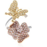 Brillant-Goldring (CIRARI) Brillant-Goldring (CIRARI)