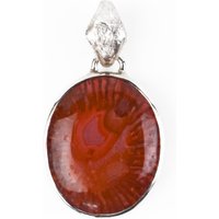 Versteinerte Rote Hornkoralle-Silberanhänger Versteinerte Rote Hornkoralle-Silberanhänger