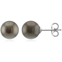 Tahitiperlen-Silberohrringe (TPC) Tahitiperlen-Silberohrringe (TPC)