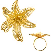 Silberring (Joias do Paraíso) Silberring (Joias do Paraíso)