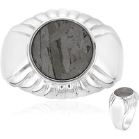 Aletai-Meteorit-Silberring Aletai-Meteorit-Silberring