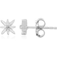 I2 (I) Diamant-Silberohrringe I2 (I) Diamant-Silberohrringe