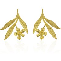 Silberohrringe (Joias do Paraíso) Silberohrringe (Joias do Paraíso)