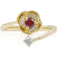 AAA-Mosambik-Rubin-Goldring (CIRARI) AAA-Mosambik-Rubin-Goldring (CIRARI)