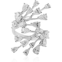 (H) Brillant-Goldring (CIRARI) (H) Brillant-Goldring (CIRARI)