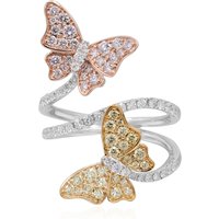 Brillant-Goldring (CIRARI) Brillant-Goldring (CIRARI)