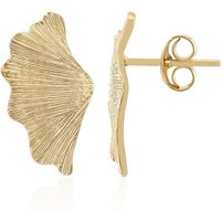 Silberohrringe (TPC) Silberohrringe (TPC)