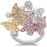 Brillant-Goldring (CIRARI) Brillant-Goldring (CIRARI)