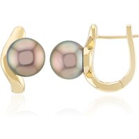 Tahitiperlen-Goldohrringe (Michelle Albala) Tahitiperlen-Goldohrringe (Michelle Albala)