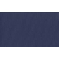 Ex-lite Rb Navy Intu Roller Blinds PVC
