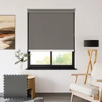 Sueno Blackout Storm Roller Shades Polyester