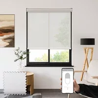 Seclusion Frost White Battery Powered Electric Privacy Roller Blinds Polyester