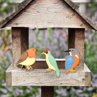 Garden Birds Letterbox Biscuits