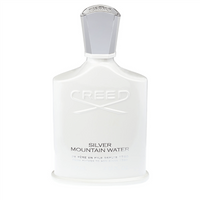 Silver Mountain Water 100 ml