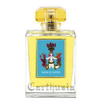Aria Di Capri 100 ml