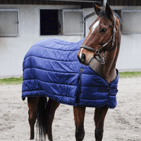 HorSeven Profitez dune réduction de 10% sur la souscouverture Equithème Classic 50g