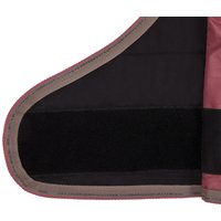 HorSeven Bénéficiez de 15% de réduction sur la couverture pour poulain QHP