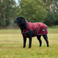 Promotion HorSeven 16% de réduction sur le manteau chien Weatherbeeta 30
