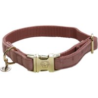 HorSeven Économisez 26 % sur le collier en velours pour chien de Kentucky Dogwear