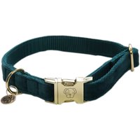 HorSeven 26% de réduction sur le collier en velours pour chien Kentucky Dogwear