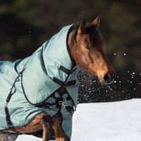 HorSeven Réduction de 41 % sur le couvrecou flexible Pro 100g de Busse argentévert