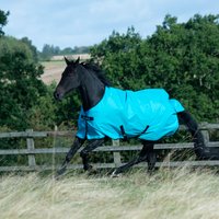 HorSeven Bénéficiez de 10% de réduction sur le Bucas Freedom Turnout Light 0g