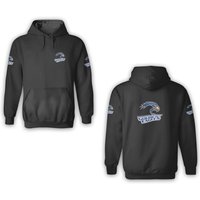 Cornerstone University Golden Eagle 3d Hoodies