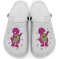 Barney The Dinosaur Clogs