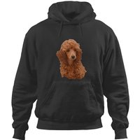 Cute Adorable Red Poodle Puppy Hoodies