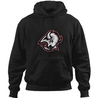 Buffalo Sabres Hockey Team Jersey Logo Hoodies