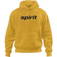 Spirit Airlines Logo Hoodies
