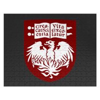 The University Of Chicago The University Of Chicago Jigsaw Puzzles