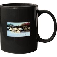 Barefoot In The Park End Credits .png Mugs