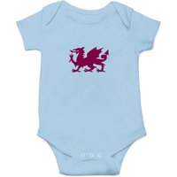 Dragon Dragon Dragon Onesie - Fun Graphic Baby Wear