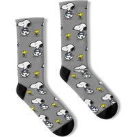 Snoopy And Woodstock Socks