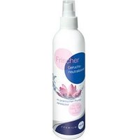 Param Geruchsneutralisierer Premium