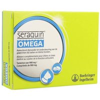 Seraquin Omega Chat