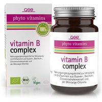 vitamin B complex vitamin B complex