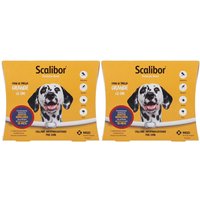 Scalibor Protectorband 1,000 G Collare Medicato Per Cani