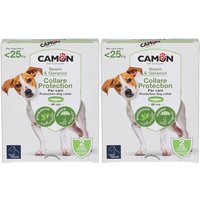 Protection Collare Barriera Per Cane