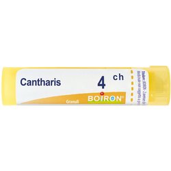 Cantharis 4Ch Gr
