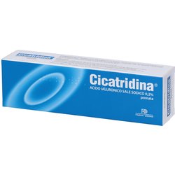 Cicatridina Pomata 60 G Con Acido Ialuronico| Supporto Alla Protezione E Al Benessere Della Pelle | Indicata In Caso Di Abrasioni, Arrossamenti E Pelle Stressata