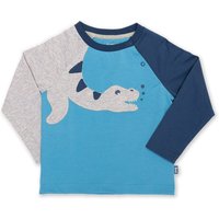 Kite - Boys Organic Cotton Plesiosaurus T-Shirt Blue - Long Sleeve - 0-13y