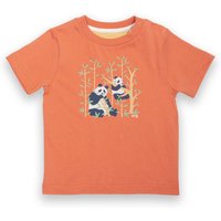 Kite - Boys Organic Cotton Top - Panda Pals T-Shirt Orange - Short Sleeve - 3m-13y