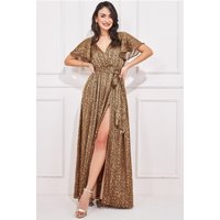 Goddiva Wrap Printed Chiffon Maxi Dress - Animal Print
