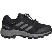 Adidas Terrex GTX K Jr IF7519 shoes